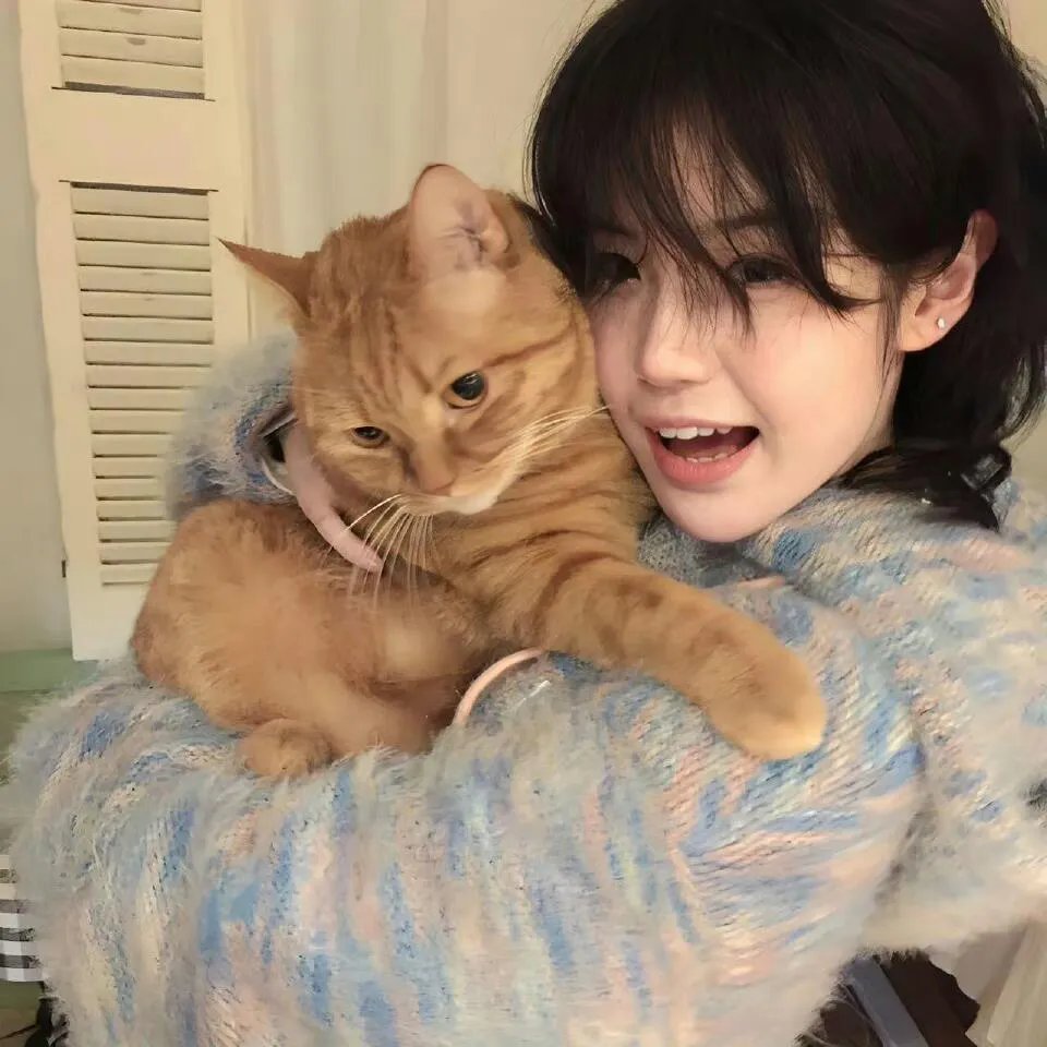 来自中国的熊猫