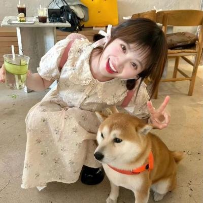 法式触摸2